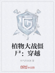 植物大战僵尸：穿越