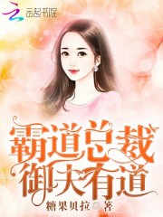 霸道总裁，御夫有道