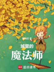 城里的魔法师