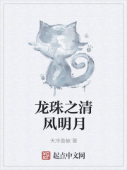 龙珠之清风明月