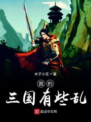 我的三国有些乱