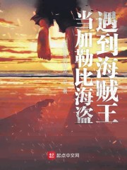 当加勒比海盗遇到海贼王