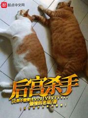 后宫杀手之你不懂爱