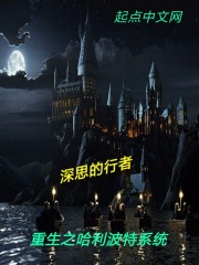 重生之哈利波特系统
