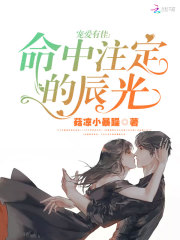 宠爱有佳：命中注定的辰光
