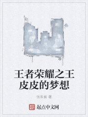 王者荣耀之王皮皮的梦想