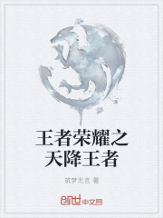 王者荣耀之天降王者