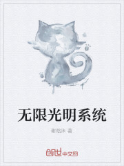 无限光明系统