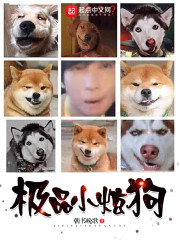 极品小炫狗