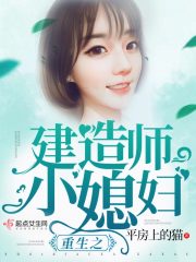 重生之建造师小媳妇
