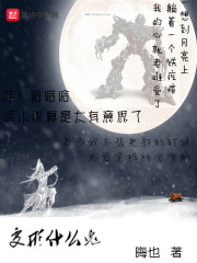 仙武变形金刚分身