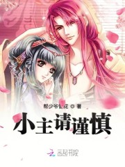 小主请谨慎
