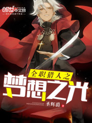 全职猎人之梦想之光