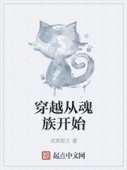 穿越从魂族开始
