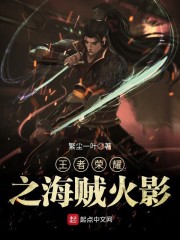 王者荣耀之海贼火影