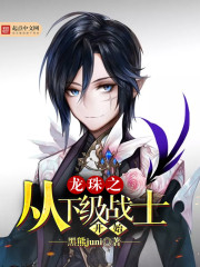 龙珠之从下级战士开始