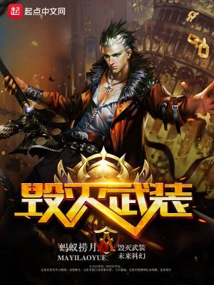毁灭武装