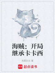 海贼：开局继承卡卡西