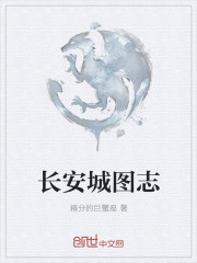 长安城图志