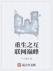重生之互联网巅峰