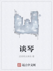 谈琴