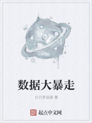 数据大暴走