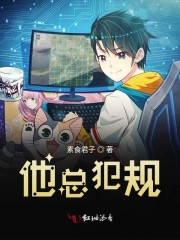 他总犯规