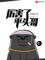 厉害了，平头哥