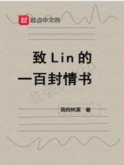 致Lin的一百封情书