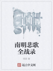 南明悲歌全战录