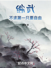 综武：不求第一，只要自由