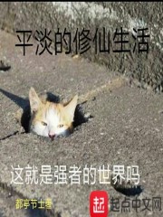 平淡的修仙生活