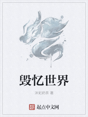 毁忆世界