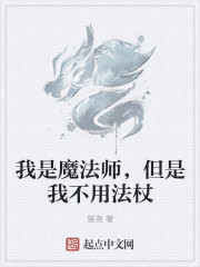 我是魔法师，但是我不用法杖