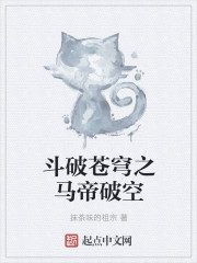 斗破苍穹之马帝破空