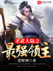 圣武大陆之最强领主