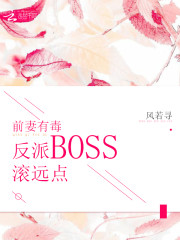 前妻有毒：反派BOSS滚远点