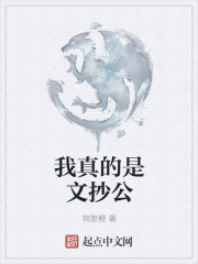 我真的是文抄公