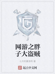 网游之胖子大盗贼