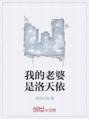 我的老婆是洛天依