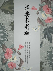 归妻未有期