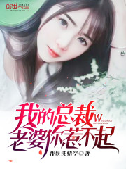 我的总裁老婆你惹不起