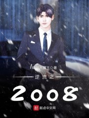逆流之2008