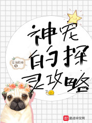 神宠的探灵攻略