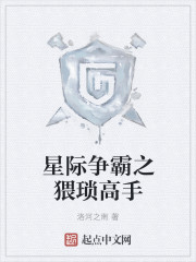 星际争霸之猥琐高手