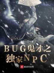 BUG鬼才之独家NPC