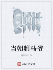 当朝驸马爷