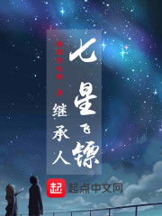 七星飞镖继承人