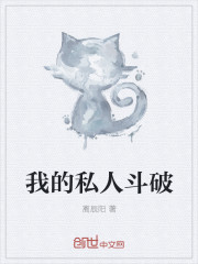 我的私人斗破