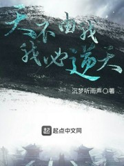 天不由我我必逆天